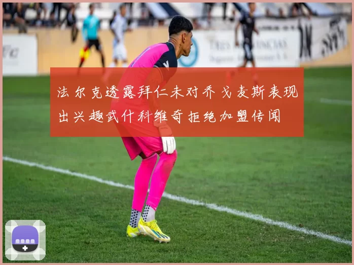 法尔克透露拜仁未对乔戈麦斯表现出兴趣武什科维奇拒绝加盟传闻