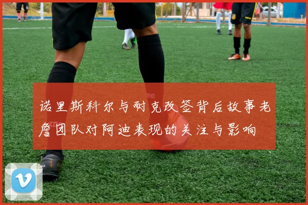 诺里斯科尔与耐克改签背后故事老詹团队对阿迪表现的关注与影响