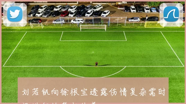 刘若钒向徐根宝透露伤情复杂需时间进行恢复与休养