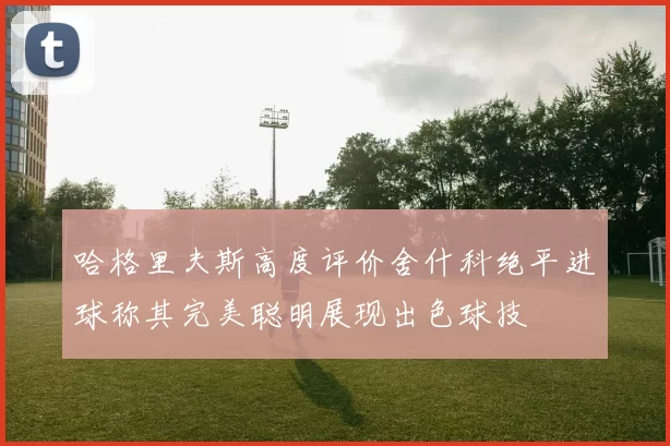 哈格里夫斯高度评价舍什科绝平进球称其完美聪明展现出色球技